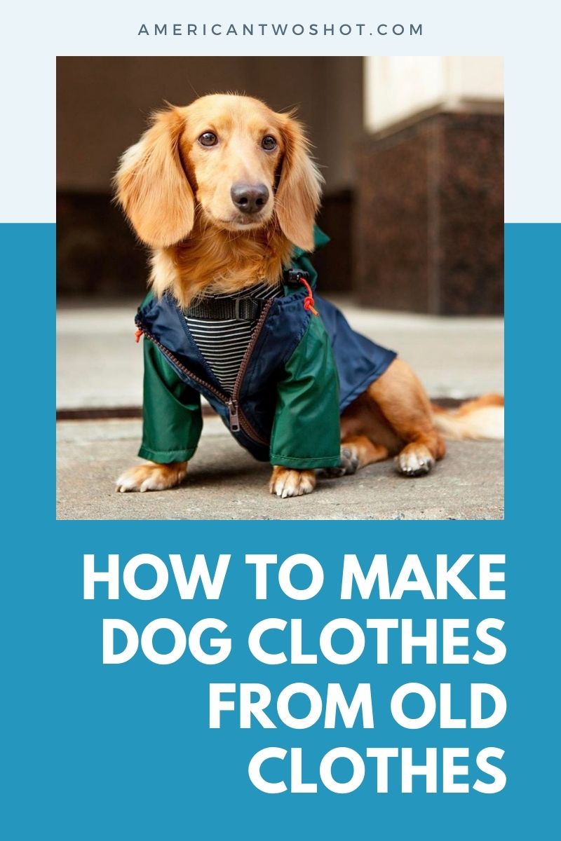 diy dog clothes