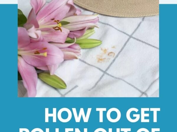 7 Steps to Get Pollen Out of Clothes