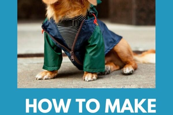 29 DIY Dog Clothes Plans – Free & Easy