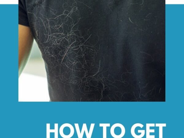 How to Get Dog Hair Off Clothes?