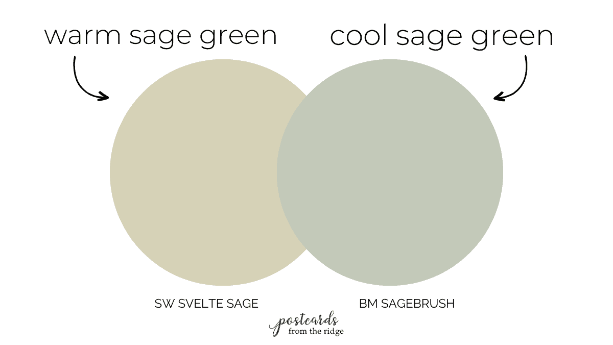 Is sage green a cool or a warm color