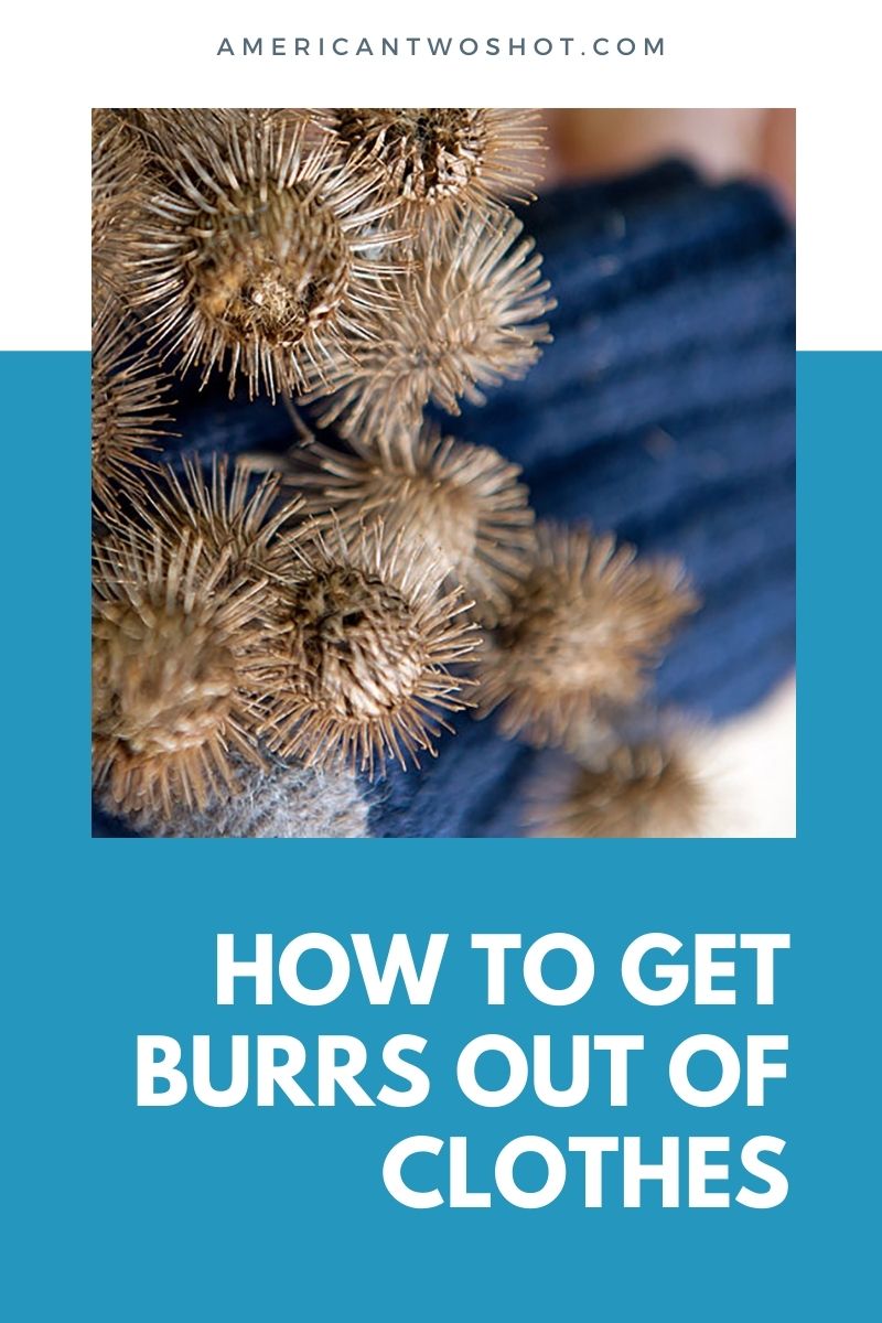 burrs on clothes