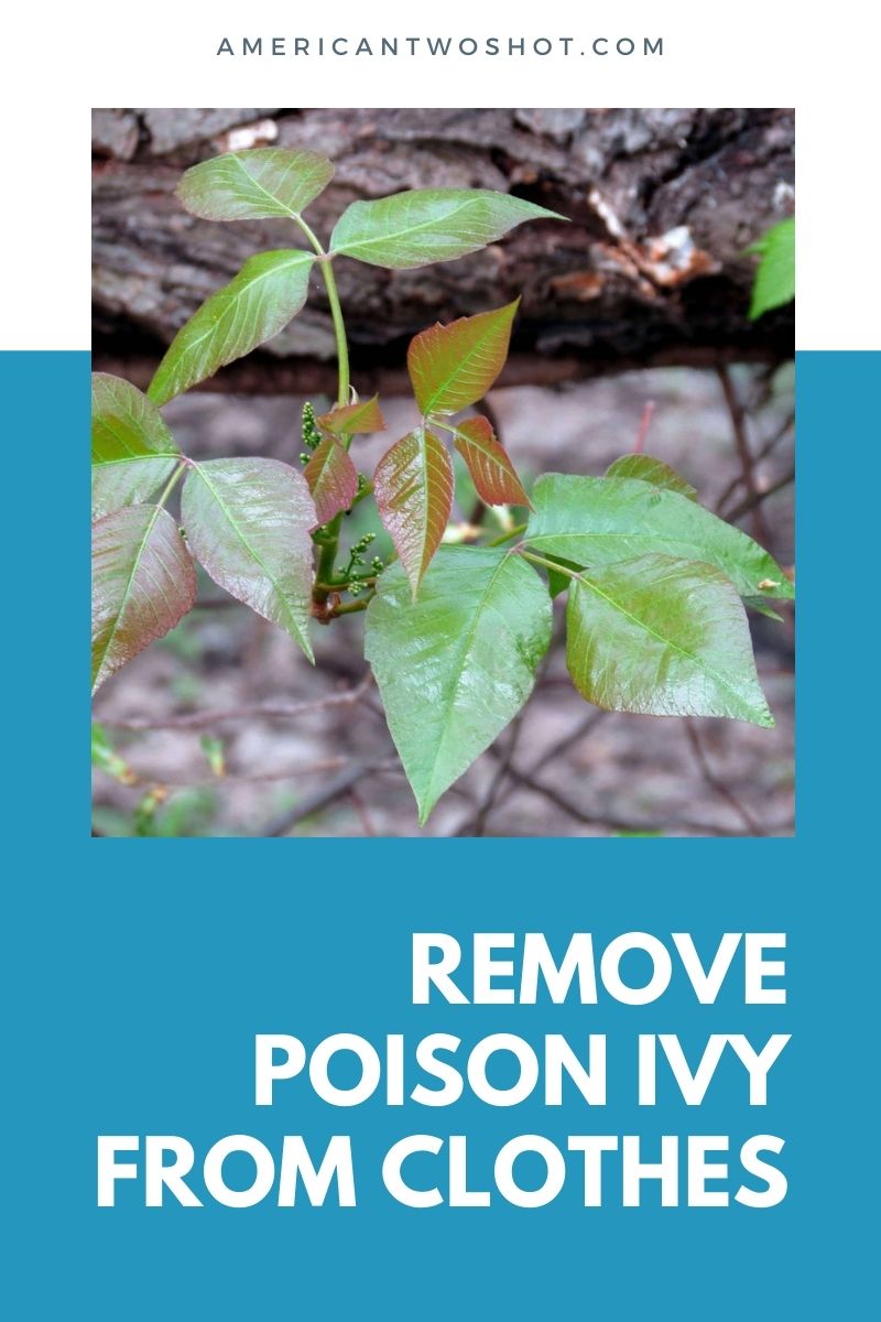 how to wash poison ivy clothes