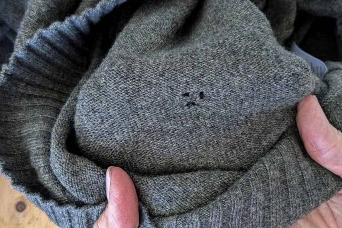 What Causes Holes In Cashmere Sweaters